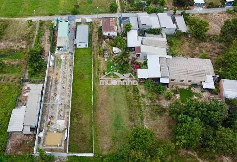 Chính chủ cần ra nhanh 1133m2 đất mt nhựa 1/ nhuận đức, củ chi