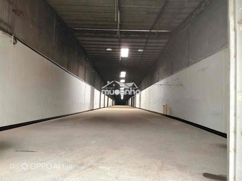 𝐊𝐇𝐎: 8x50➖17tr/th (tl), vĩnh lộc a, bình chánh, trần cao 7m