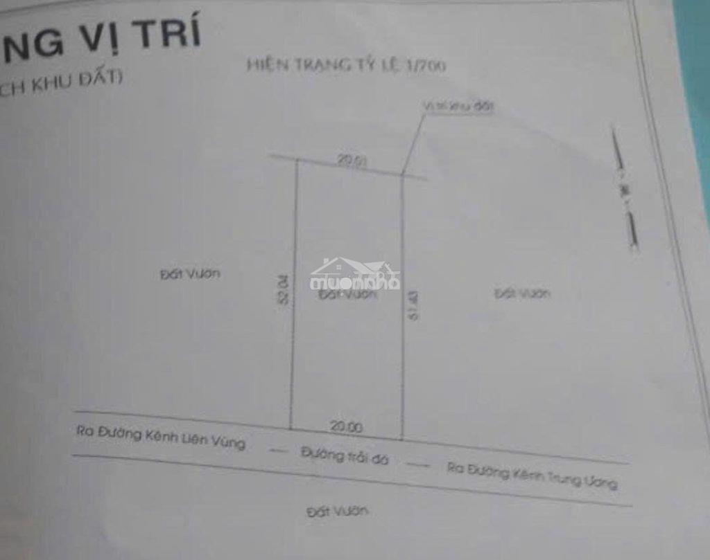 Cần bán đất nông nghiệp - 3