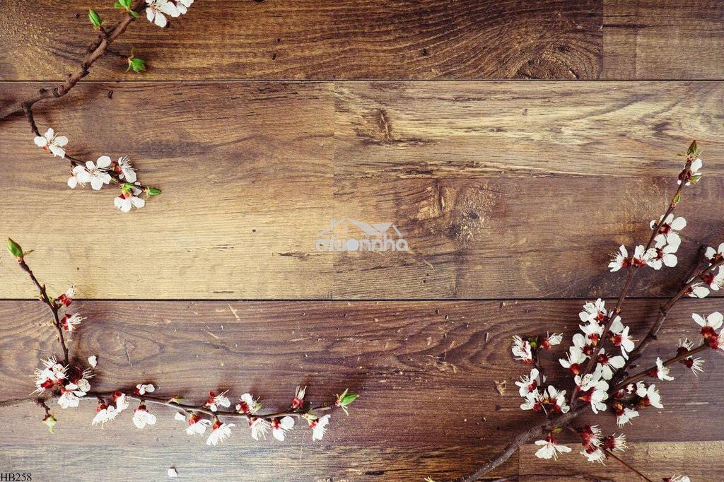 Cho thuê nhà đường tân hương 4,5 x 14 m đúc 3,5 tấm 4 pn , 4 wc - 3