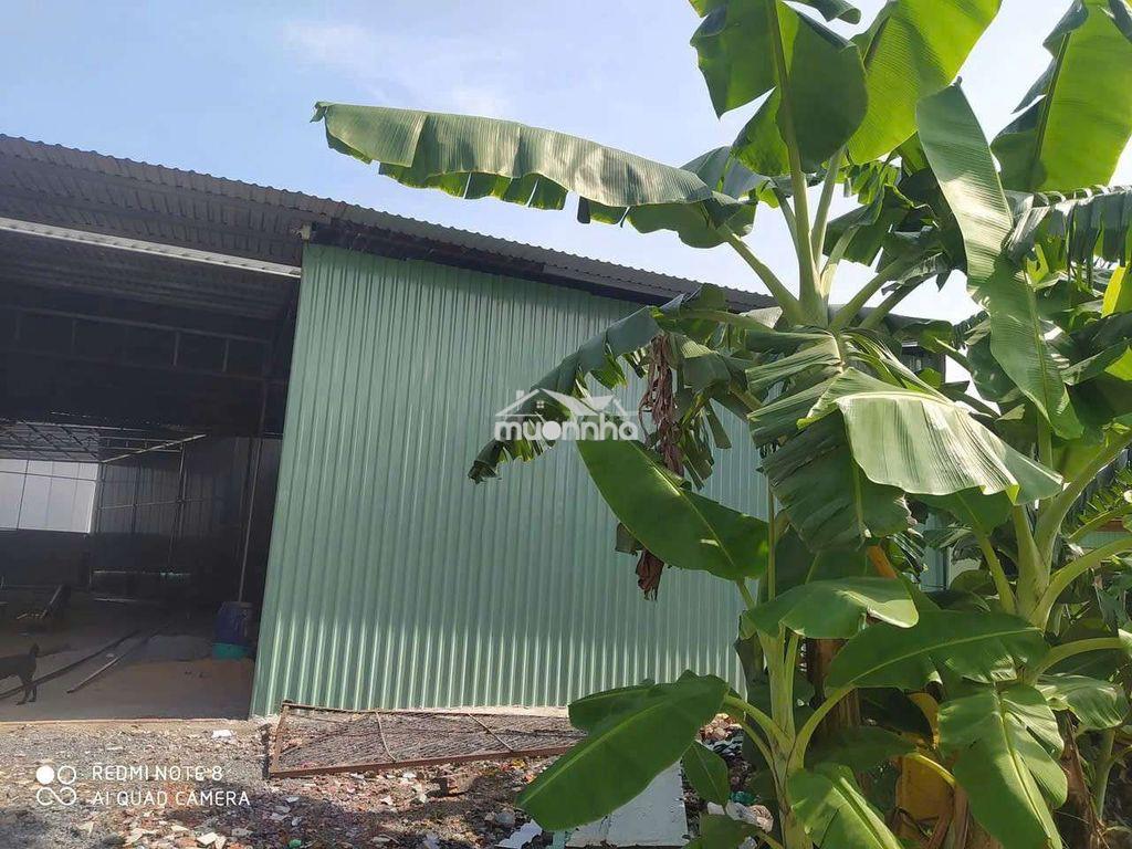 Xưởng dĩ an 1500m² xưởng 900m giá 30tr đường cont sẵn 3fa - 2
