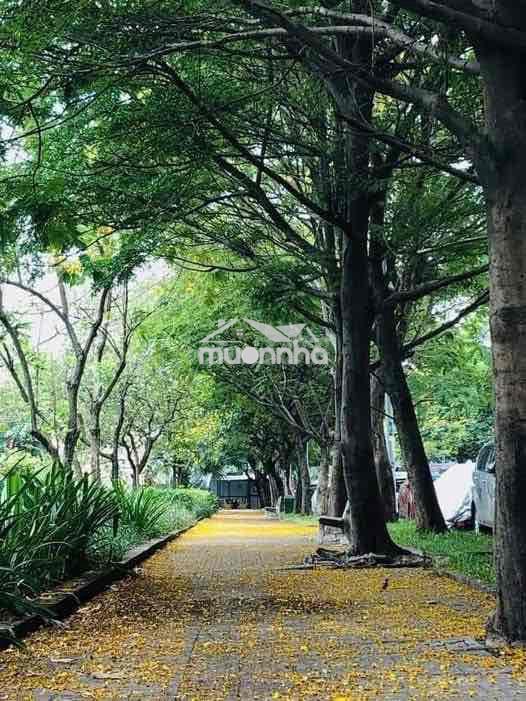 Cho bạn nữ share phòng