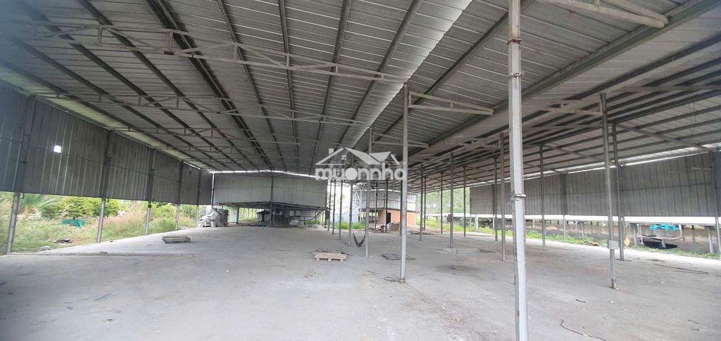 Chính chủ cho thuê kho xưởng trảng bàng giá rẻ - 3