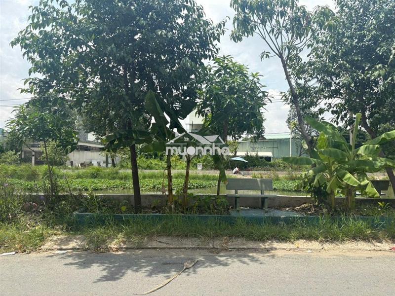 Cho thuê biệt thự nhà vườn 200m2 - 3pn-2wc - biệt thự view sông 