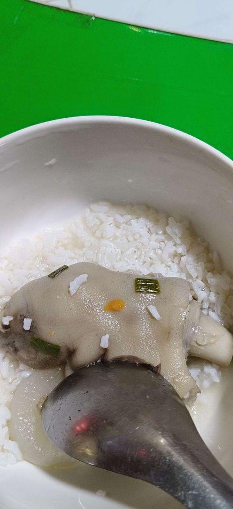 Chính chủ cho thuê nguyên căn thág 9  - 3