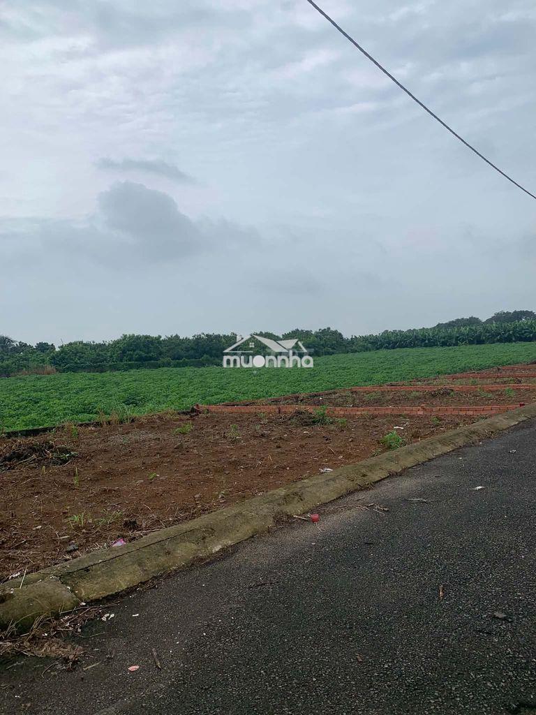Bán đất ngay mặt tiền tại đông hòa trảng bom - 2