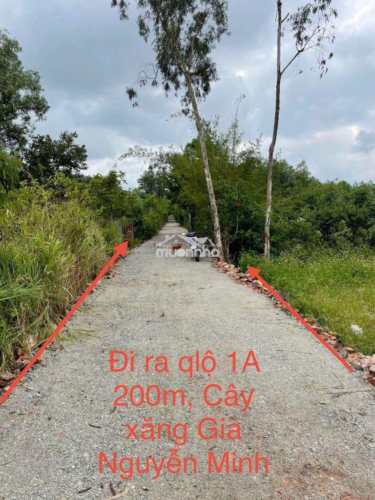 Bán lô đất nền 5m ngay lối lên xuống cao tốc, xã xuân tâm cũ, gần qlộ - 3