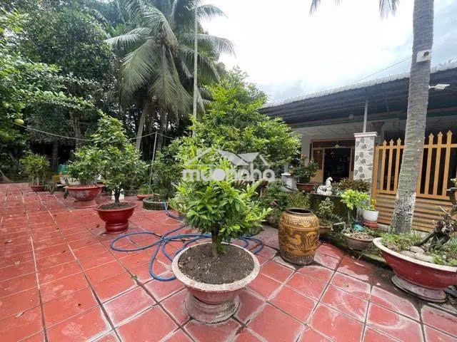 Nhà vườn 666m² hxh -tl 8 bình mỹ, củ chi –300m² thổ cư-giá  8.7 tr/m² - 2