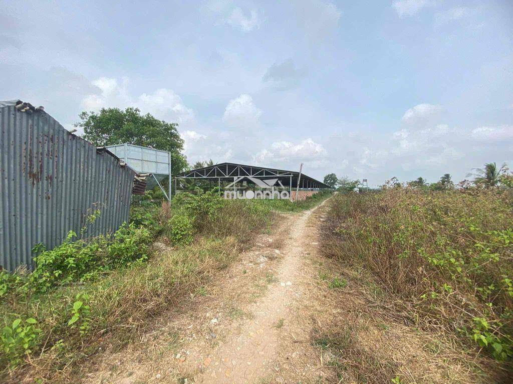 Nhà đất + trại nuôi gà - 4