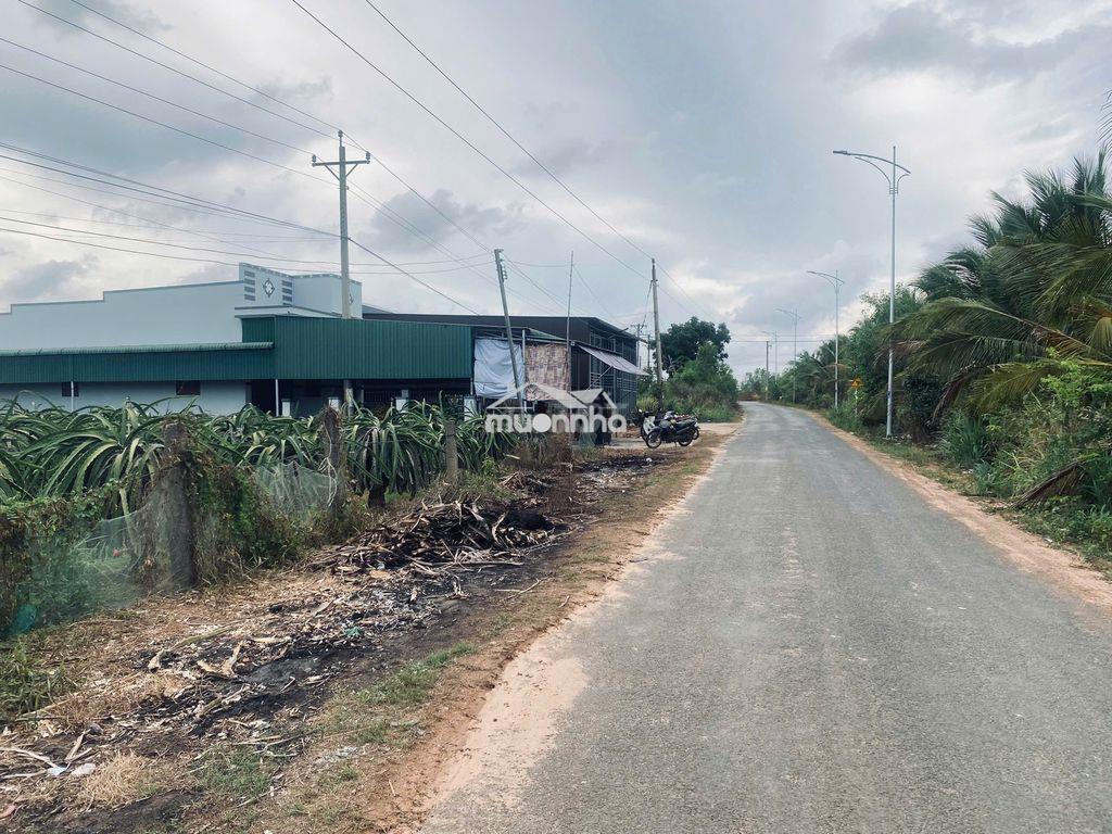 10x50(500m2) 150m2 thổ đinh công tráng, tân tiến, gần biển giá tốt - 3