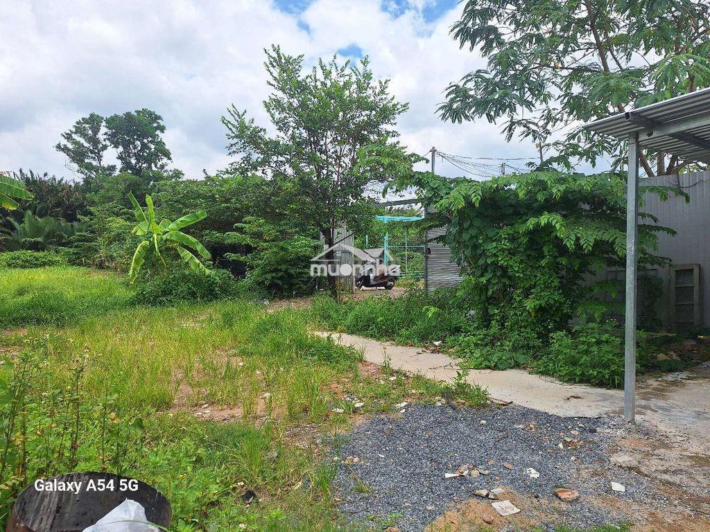 Nhà+ đất vườn.dtnhà 160m²dt đất 650m² 3pn pk nhà kho sân trước sân sau - 2