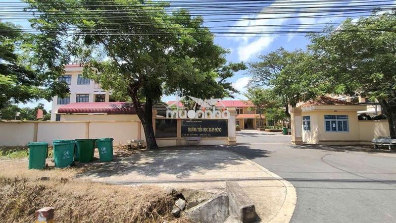 Chính chủ bán 1001m2 đất full hồng, mặt tiền bê tông xuân đông. hh 2%