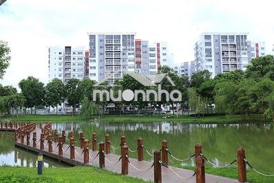 Cho thuê shophouse celadon city, hương lộ 3 quận tân phú - 3