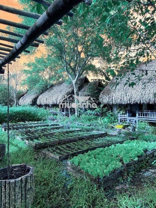 Bán đất 1424m2 tại định quán, đồng nai - 744 triệu