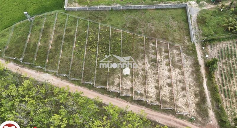 Mảnh vườn tuổi hưu cho cô chú về hưu tại tây ninh