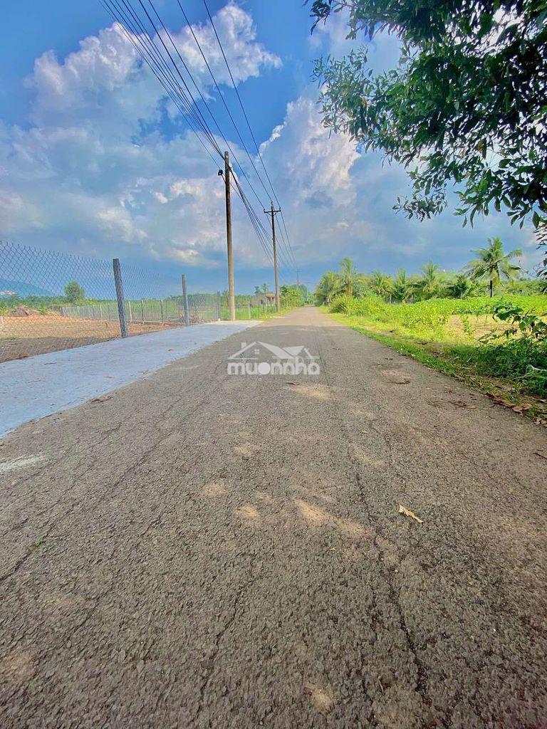 Nền sổ riêng full thổ cư view núi chứa chan - 3