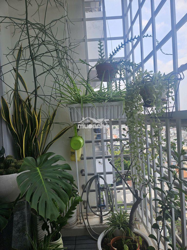 Alisa bán căn góc cc nguyễn văn đậu lầu cao thoáng mát 92m2 2pn 