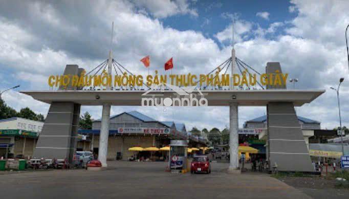 Chủ ngộp chỉ 775tr xả lô 125m²đường bê tông 7m tại trung tâm dầu giây