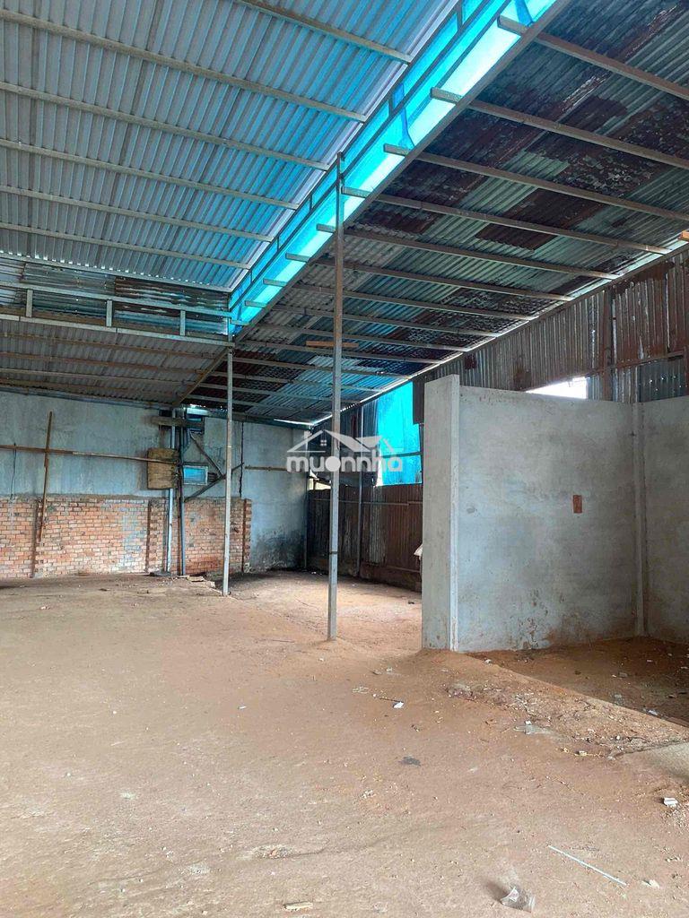 Xưởng rẻ nhất trung mỹ tây 600m - 3