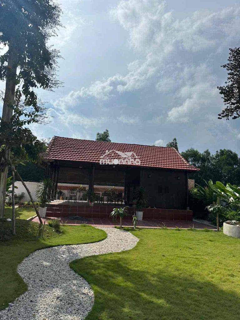Cho thuê nhà nghĩ hoà lợi bến cát bình dương - 2
