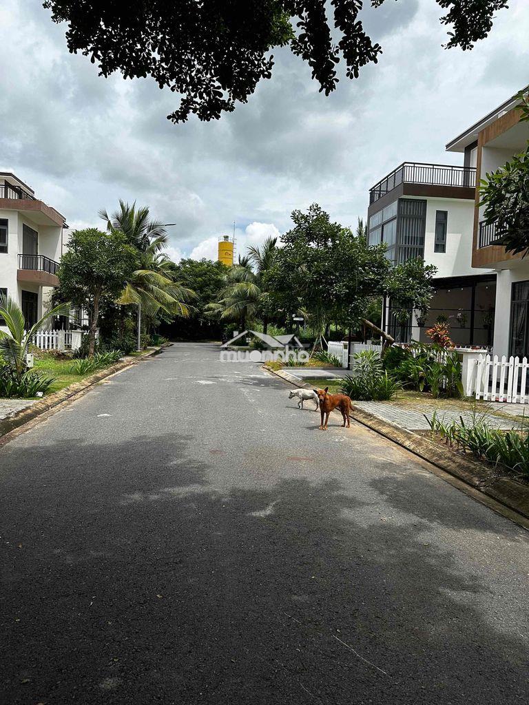 Bán đất nền biệt thự - 2