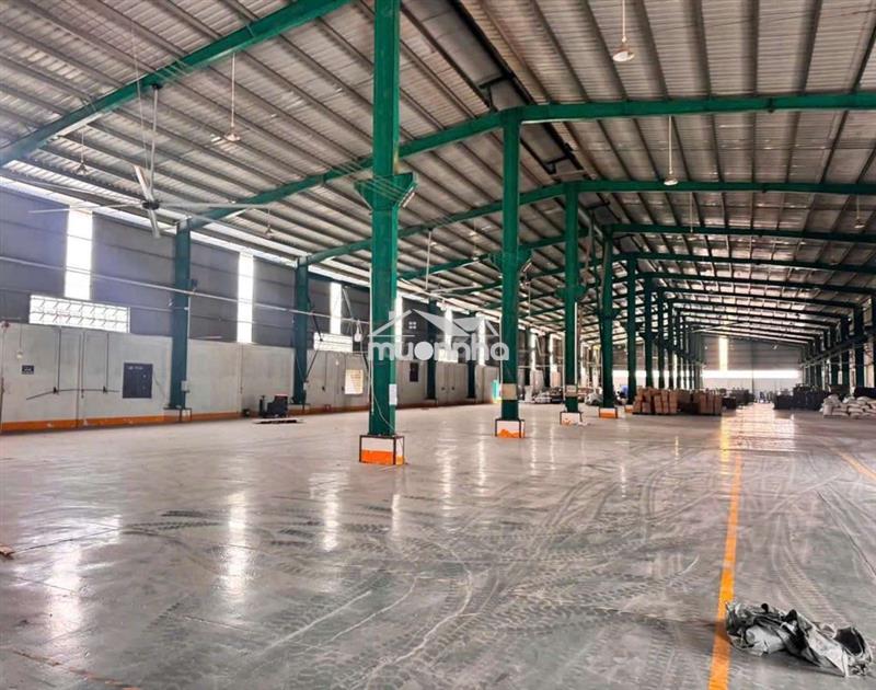 Cho thuê xưởng tân hiệp tân uyên bình dương