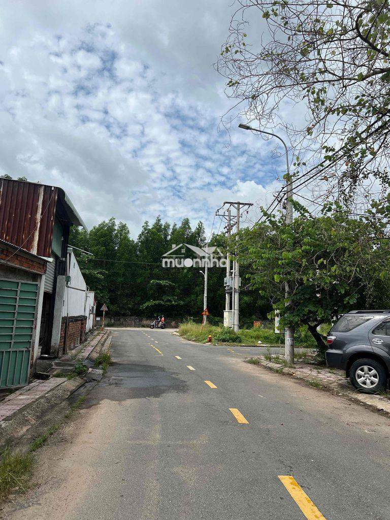 Tđc tân phong 1, biên hoà cũ nay là phường tân triều - 4