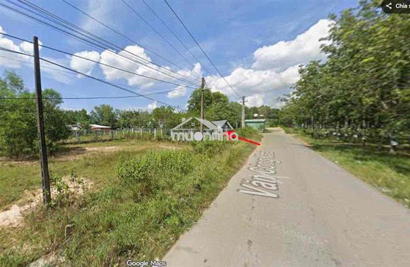 Chính chủ cần bán gấp đất biệt thự ngay trung tâm dầu tiếng bd