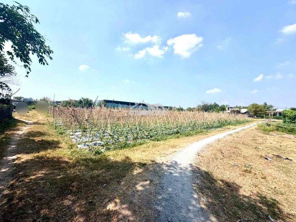 Đất khu dân cư . gần kcn vĩnh lộc . tân bình chín chủ - 3
