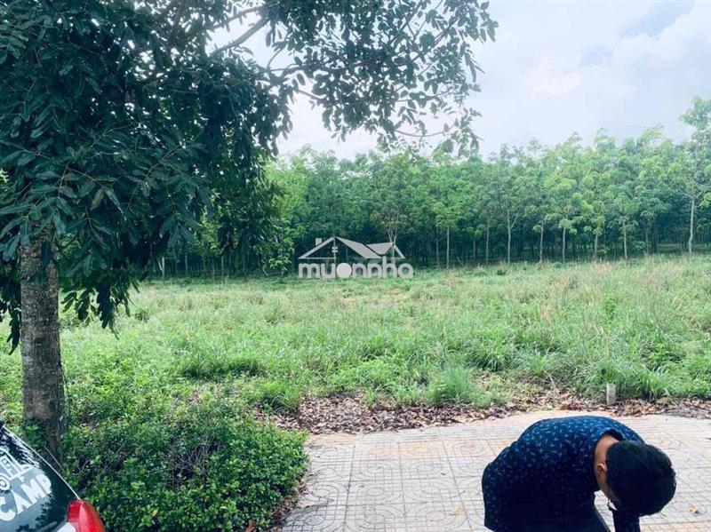 Đất nền long đức long thành đồng nai