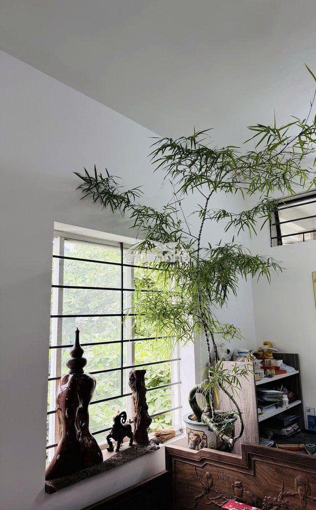 Bán gấp chung cư k300 tân bình - 45m, 2pn giá 2,4 tỷ shr - 2
