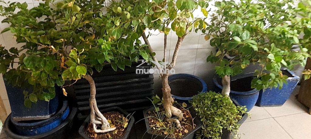 Phòng cho thuê - 2