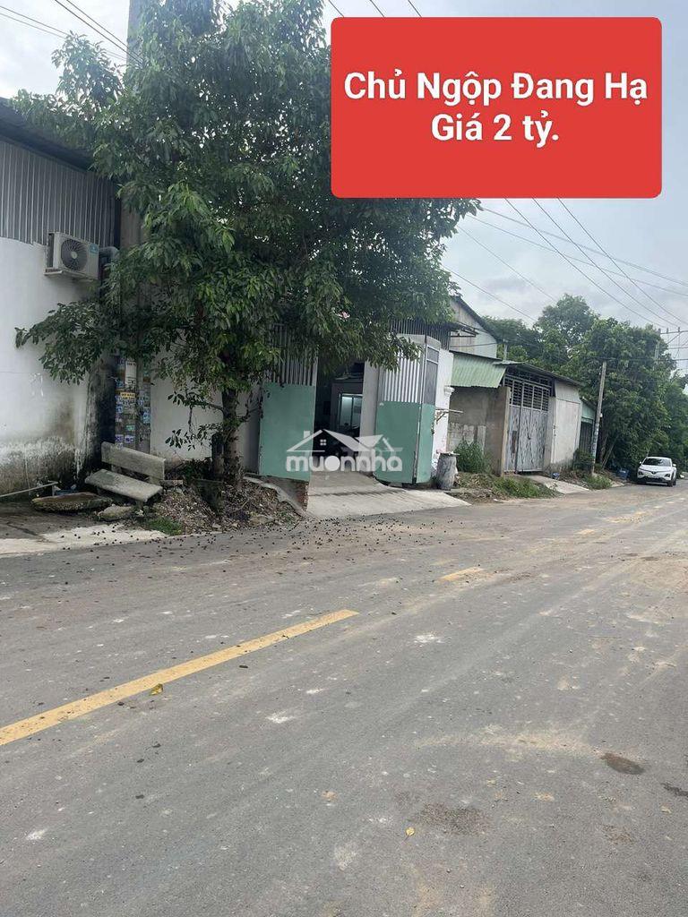 Ngộp bán xưởng đang cho thuê 25tr, tân đông hiệp -dĩ an, cơ hội vàng - 4