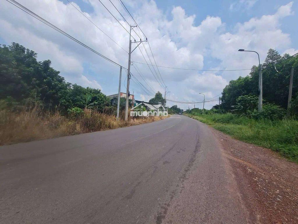 Cho thuê kho xưởng 1200m² giá rẻ tại an viễn trang bom đồng nai - 3