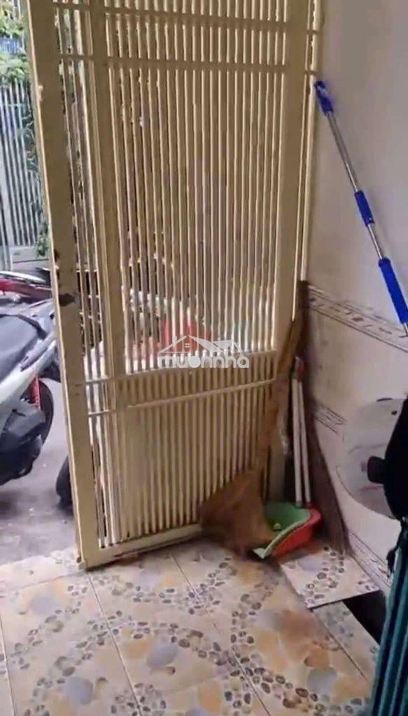 Cho thuê nhà nguyên căn.đường nguyễn thiện thuật, phường 3.quận 3