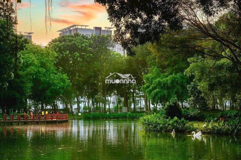 Em có rổ hàng khu cao cấp diamond - celadon city, brilliant 2pn 15tr - 2