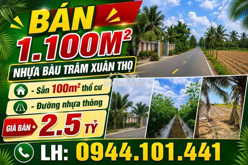 Bán 1100m2 sẵn thổ cư mặt nhựa bàu trâm xuân thọ