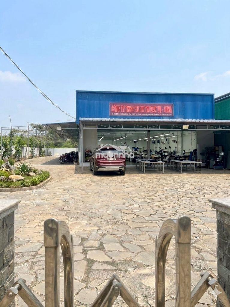 Cho thuê gấp xưởng may tại dầu tiếng, bình dương