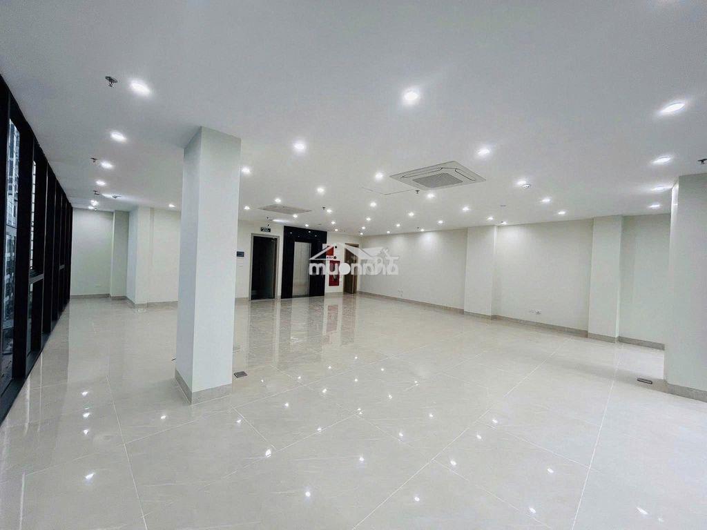 Cho thuê tòa nhà mặt tiền đường hai bà trưng mt 15m x 20m  quận 3 - 4