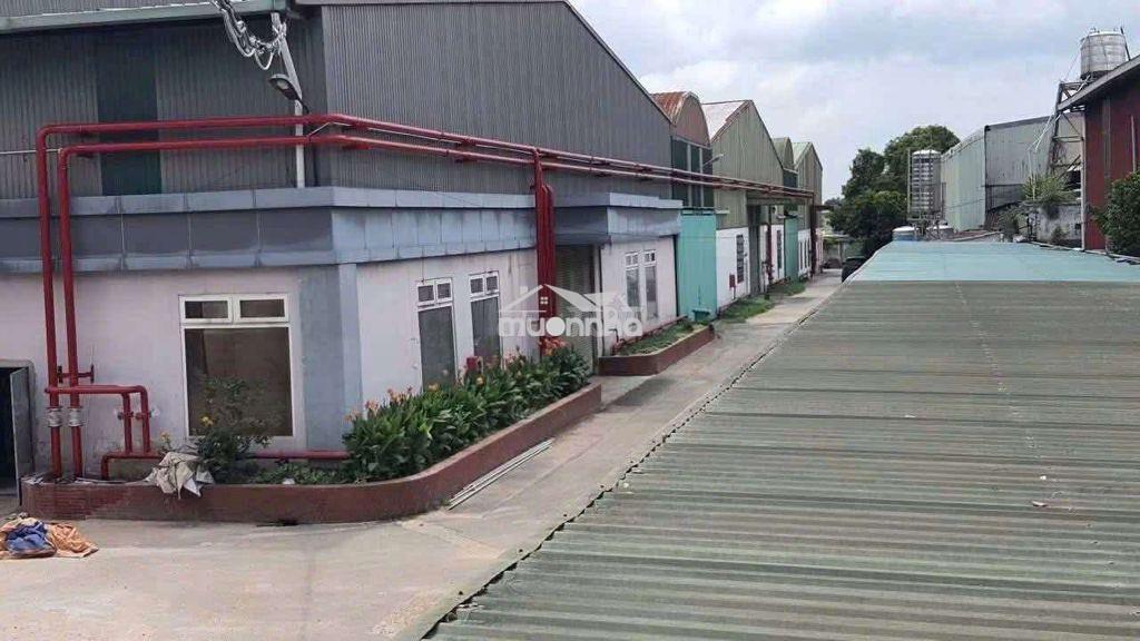 Chính chủ cho thuê nhà xưởng 2000. thuận an,  3.5usd/m. giấy tờ đầy đủ - 3