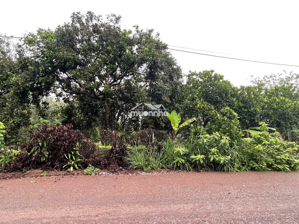 Chính chủ bán 10 thửa đất thổ cư mt đường nhựa 16m giá chỉ 1,2 tỷ/lô - 2