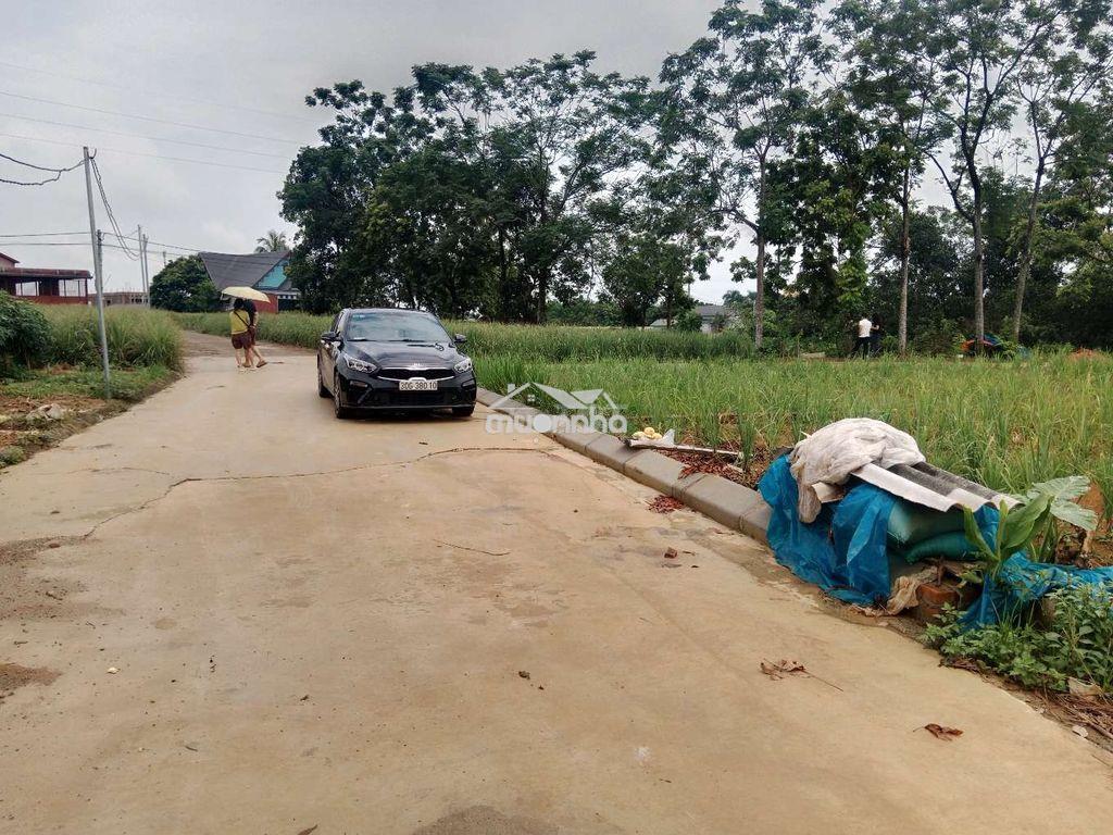 Đất nền phú cát hòa lạc sổ đỏ trao tay - 3