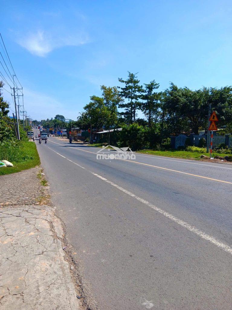 Bán lô đất mặt tiền quốc lộ 2o.với 297m2 chỉ vơi giá 1 tỷ 950t - 3