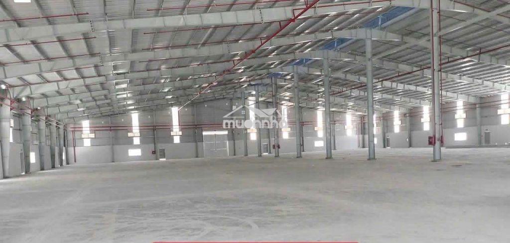 Xưởng bán có nguồn thu 320 triệu/tháng. s 8.300m² giá 45,1 tỷ bớt lộc - 3