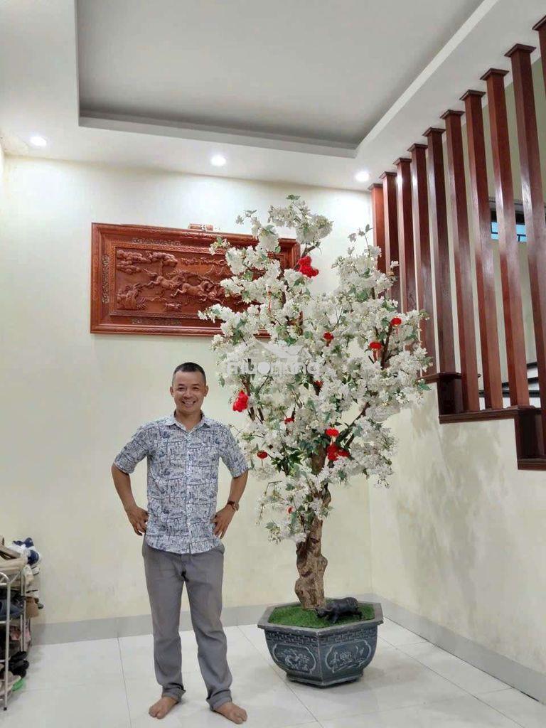 🌹 Biệt thự 3 tầng  – chủ ngộp giảm sâu 4 tỷ – giá chốt  10 tỷ –  🌹