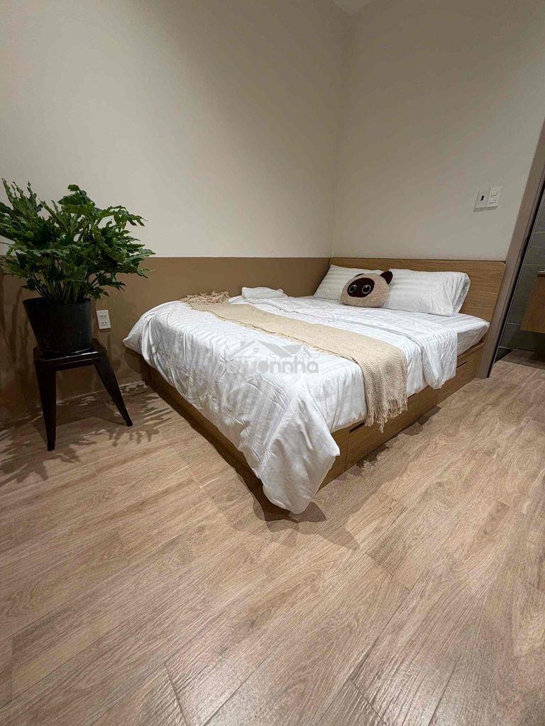 Khai trương căn hộ quận 4 kế bến nhà rồng, cầu mống, phố đi bộ ng huệ