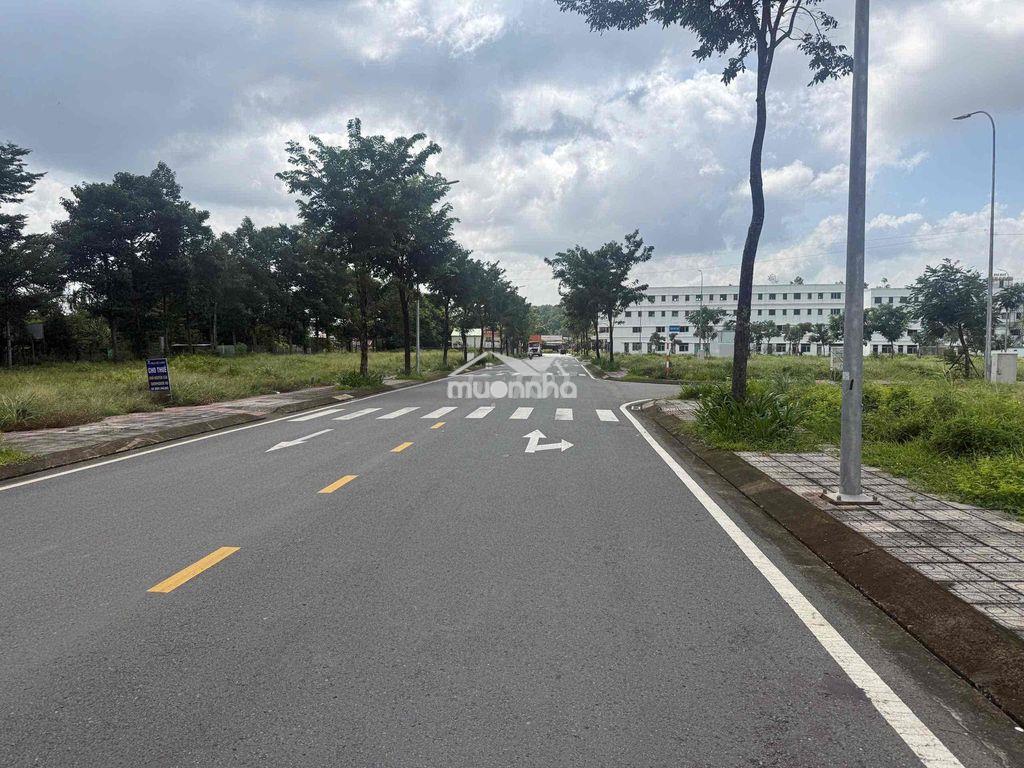 Bán gấp đường lớn kinh doanh gần sb long thành - 3