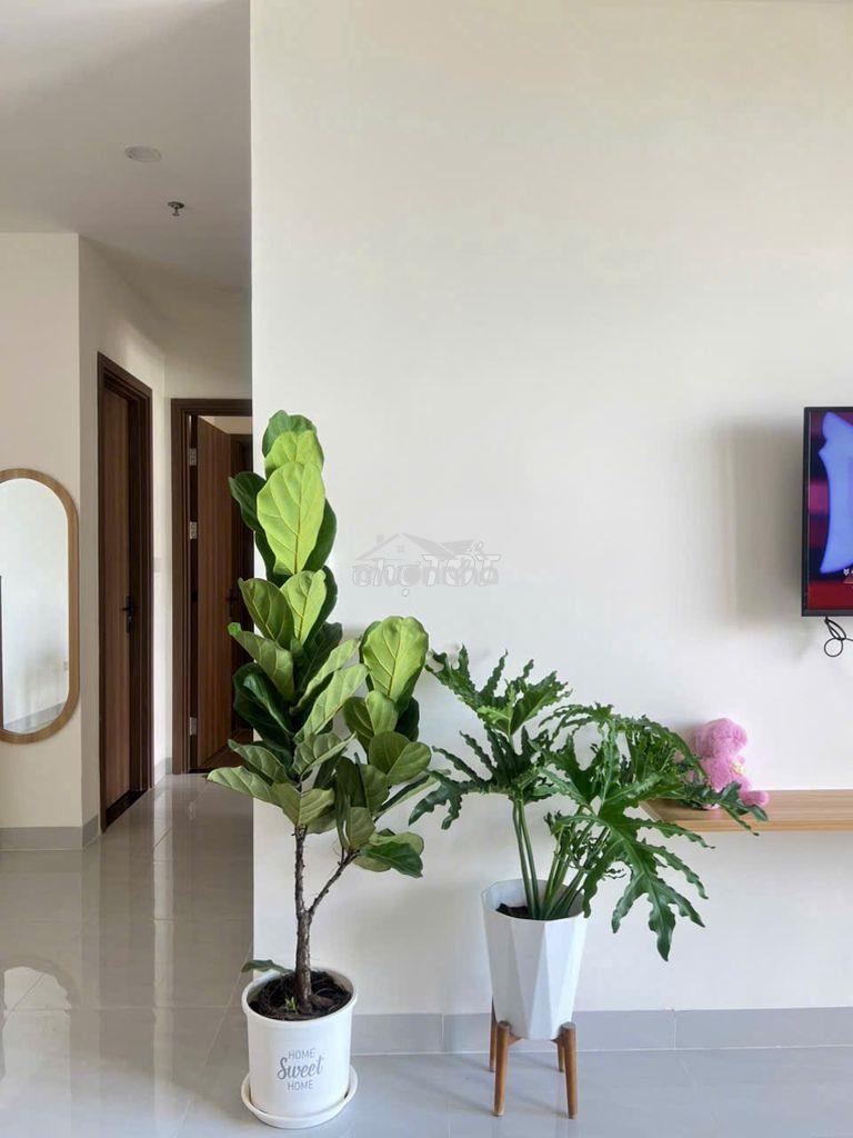 Cho thuê ~1pn-1wc~ có máy lạnh 5tr5 - 2