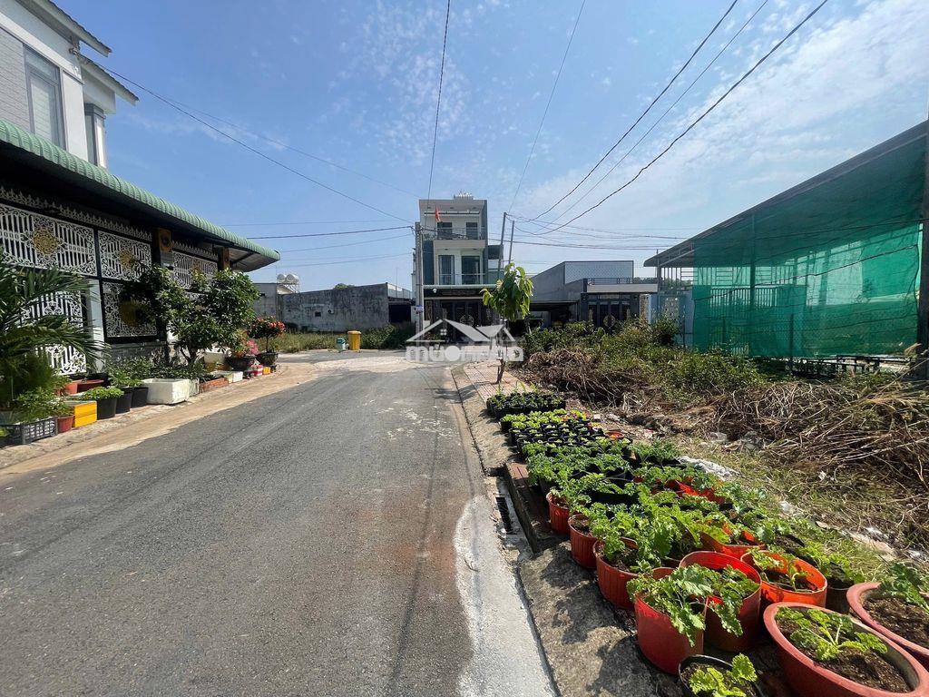 Bán đất ấp thanh bình, lộc an, long thành, đồng nai - 3