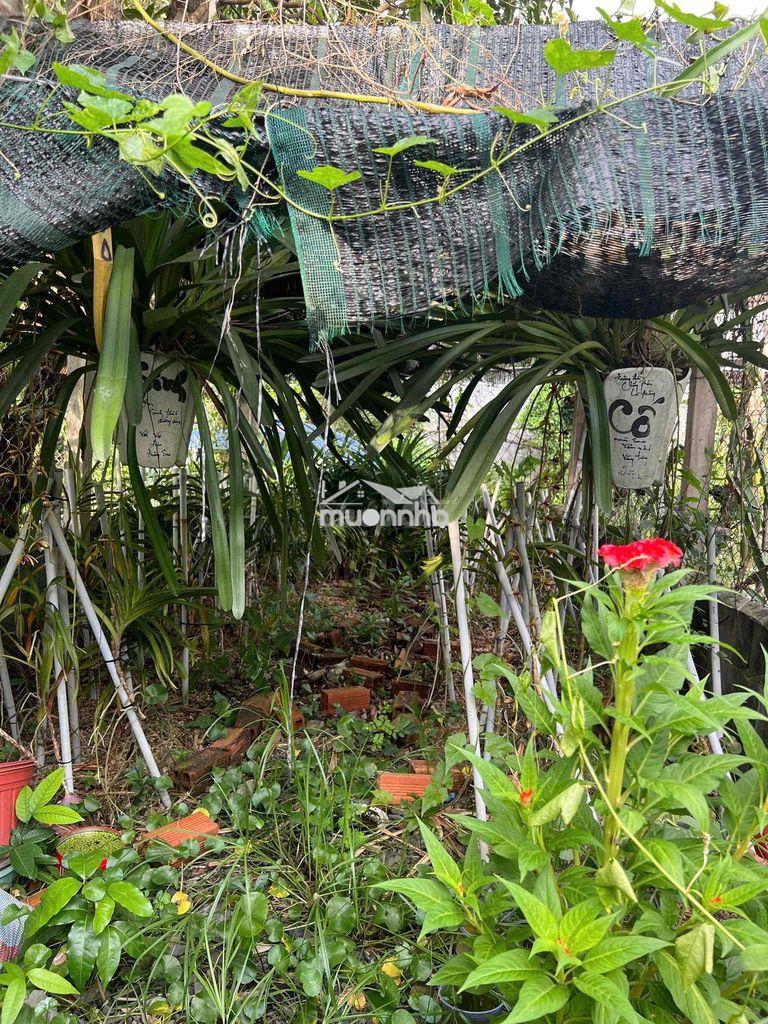 Bán nhà củ chi gần chợ, trường học - 2